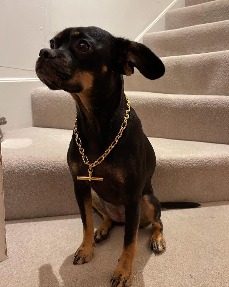 Doggy Style