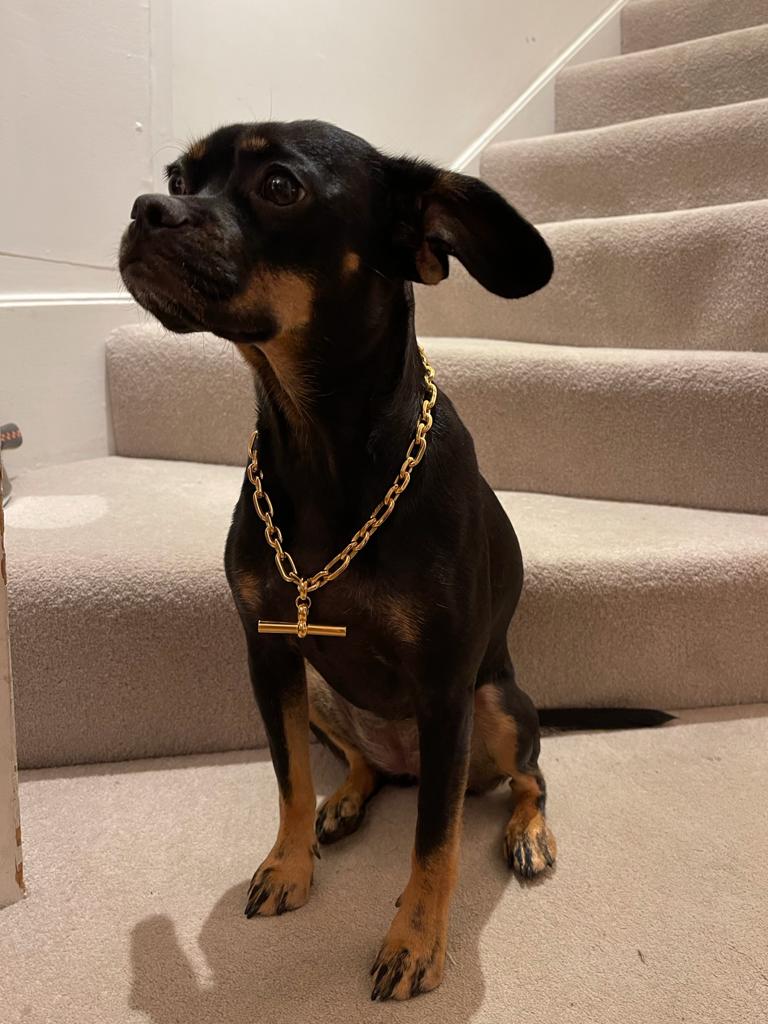 Doggy Style