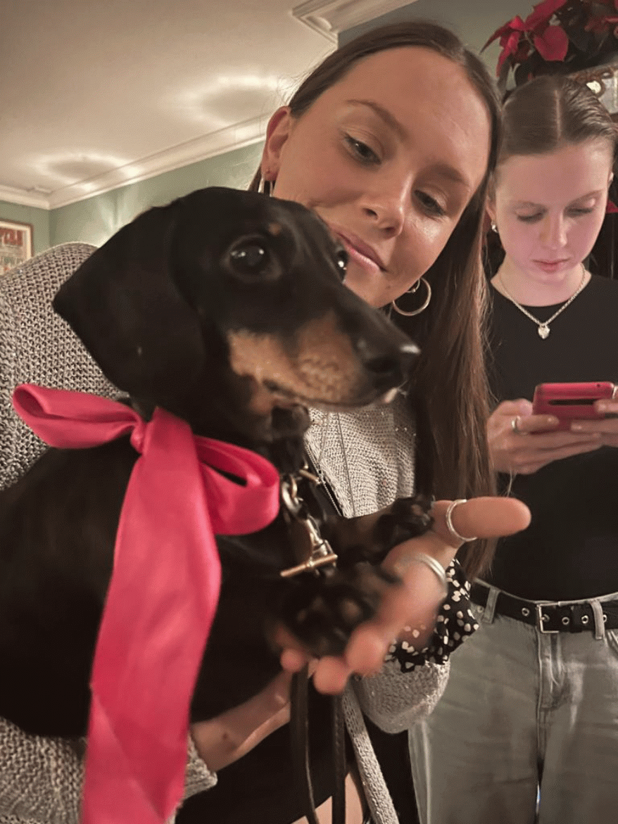 Meet the Team at Christmas