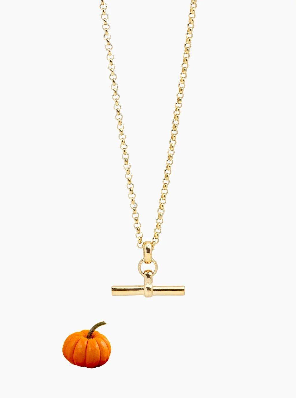 Gold T-bar pendant necklace on a fine belcher chain