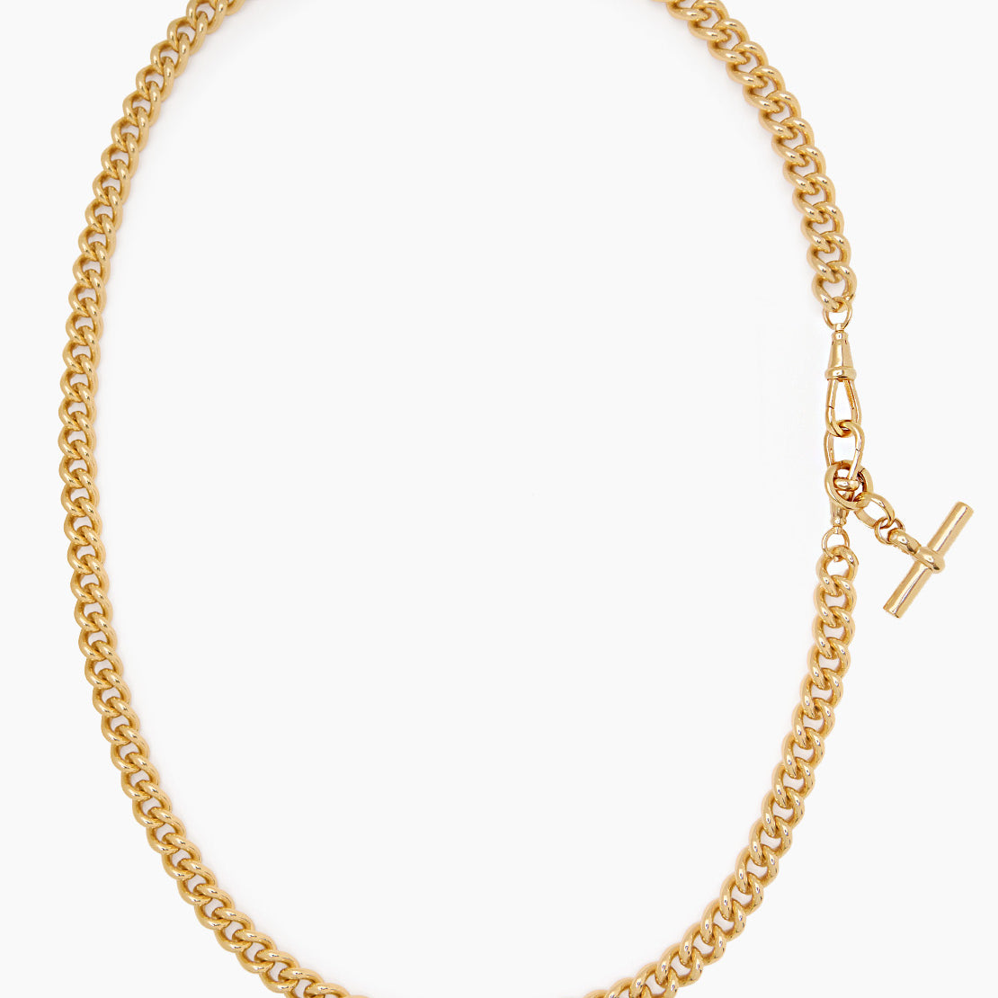 Medium Gold T-Bar on Long Large Gold Curb Clipt Necklace