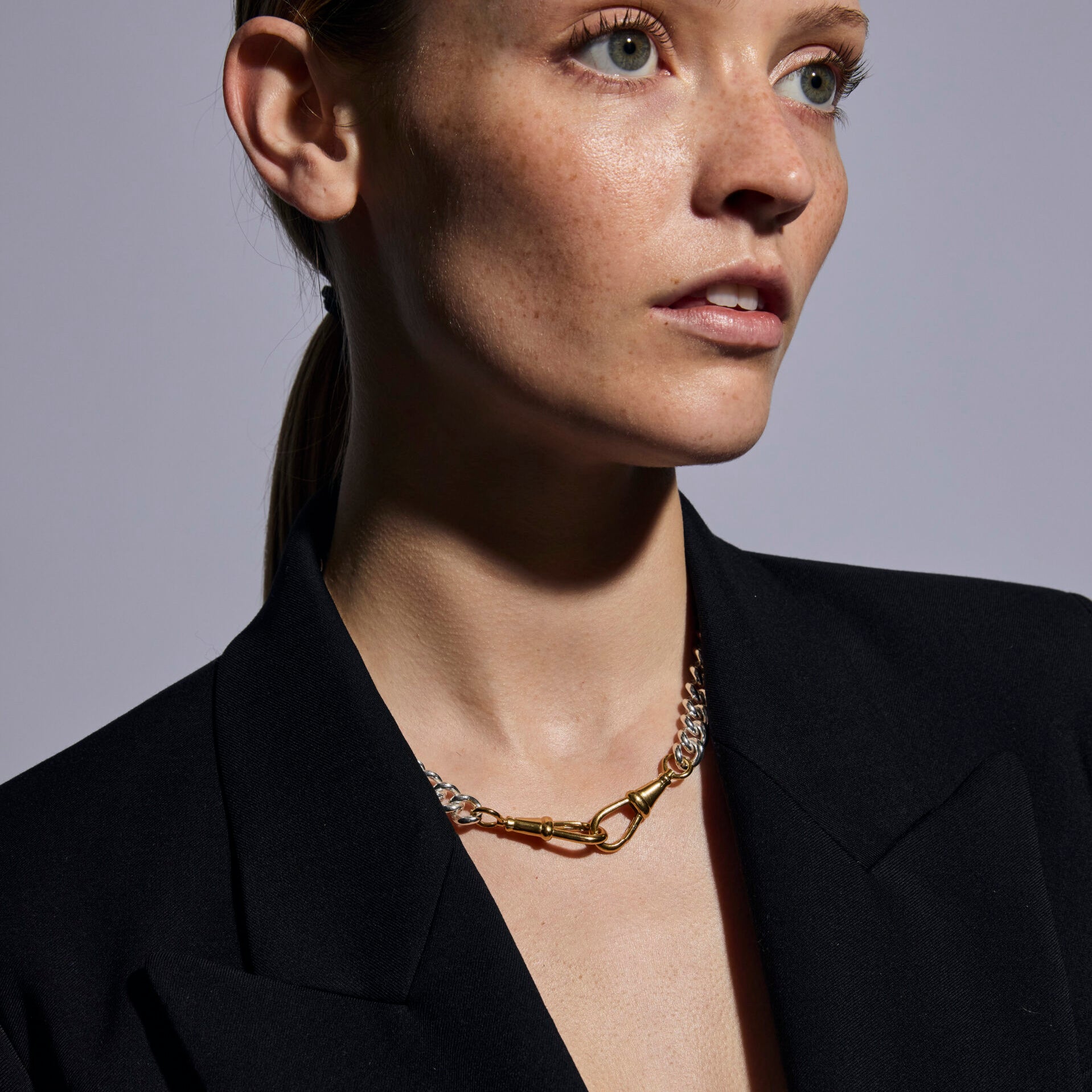 Large Silver and Gold Curb Clipt Necklace