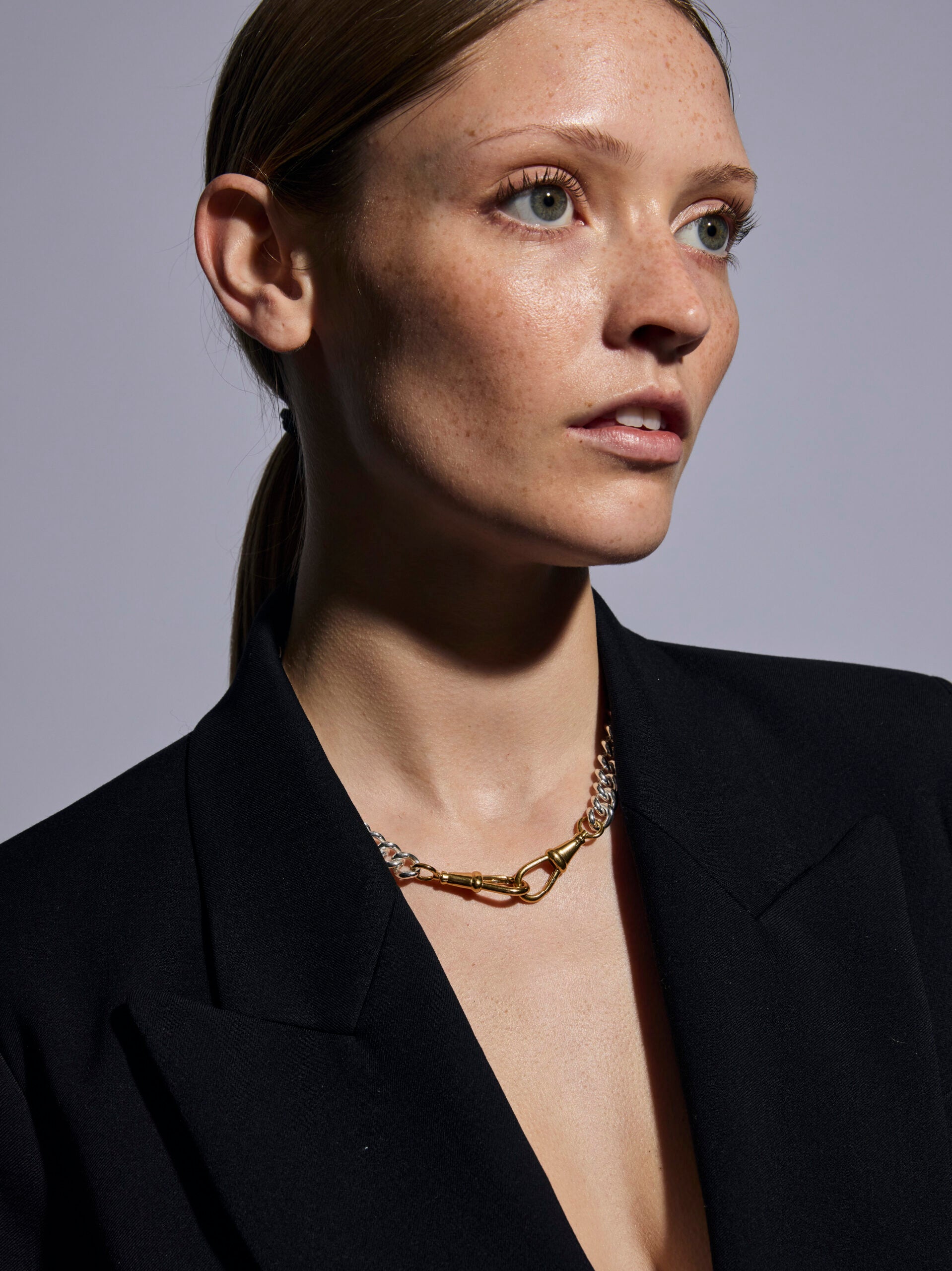 Large Silver and Gold Curb Clipt Necklace