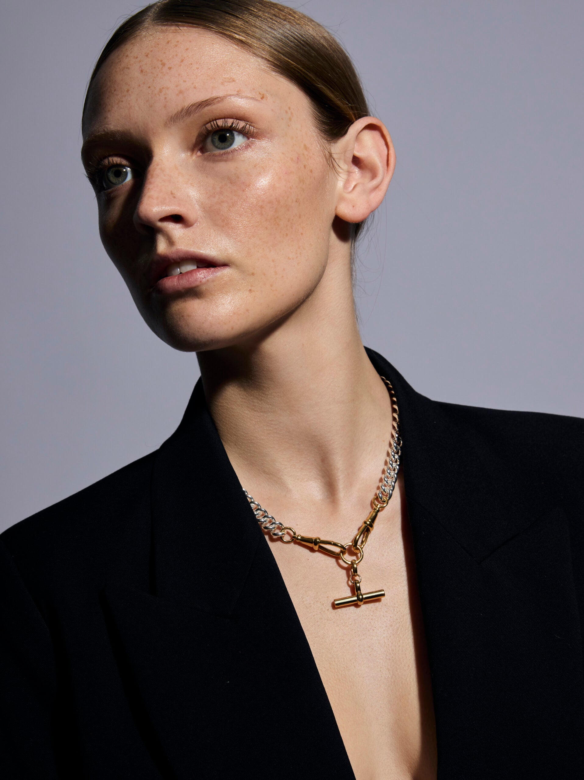 Medium Gold T-bar on Large Silver and Gold Curb Clipt Necklace