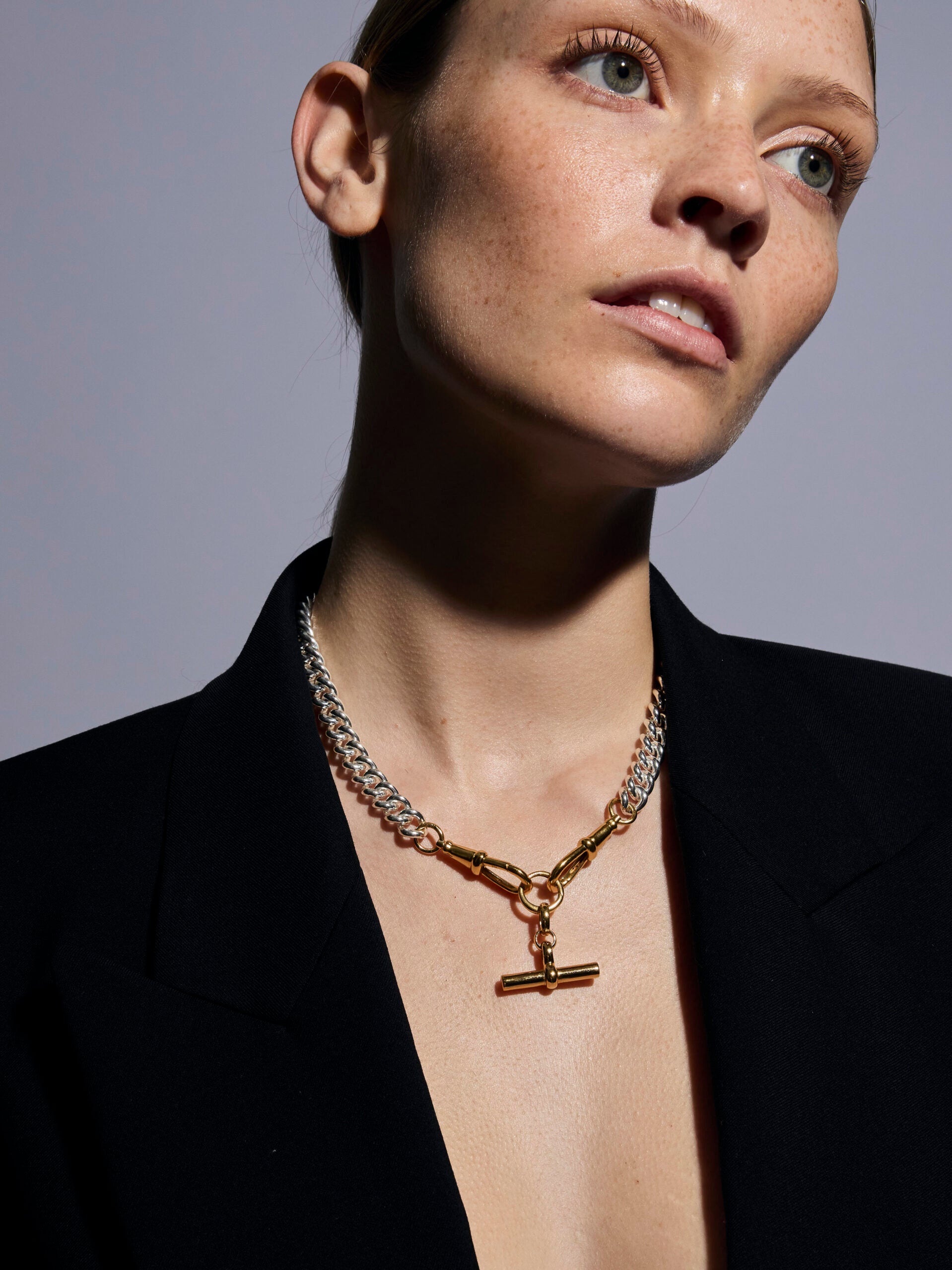 Medium Gold T-bar on Large Silver and Gold Curb Clipt Necklace