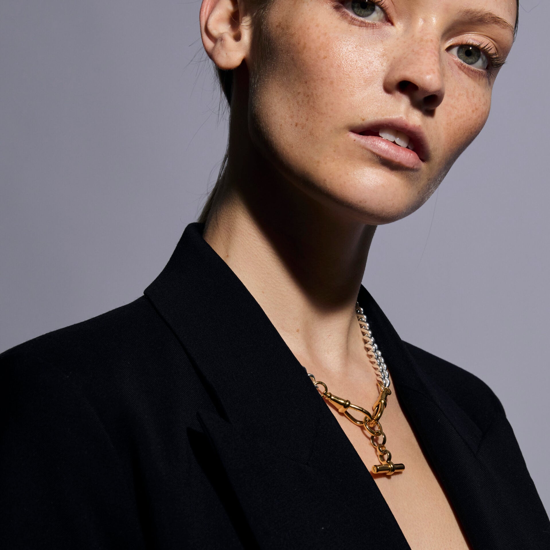 Medium Gold T-bar on Large Silver and Gold Curb Clipt Necklace