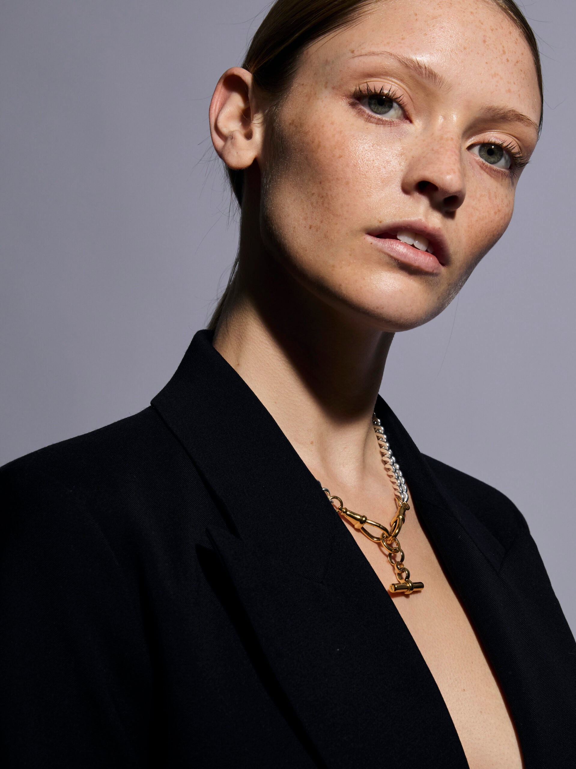 Medium Gold T-bar on Large Silver and Gold Curb Clipt Necklace