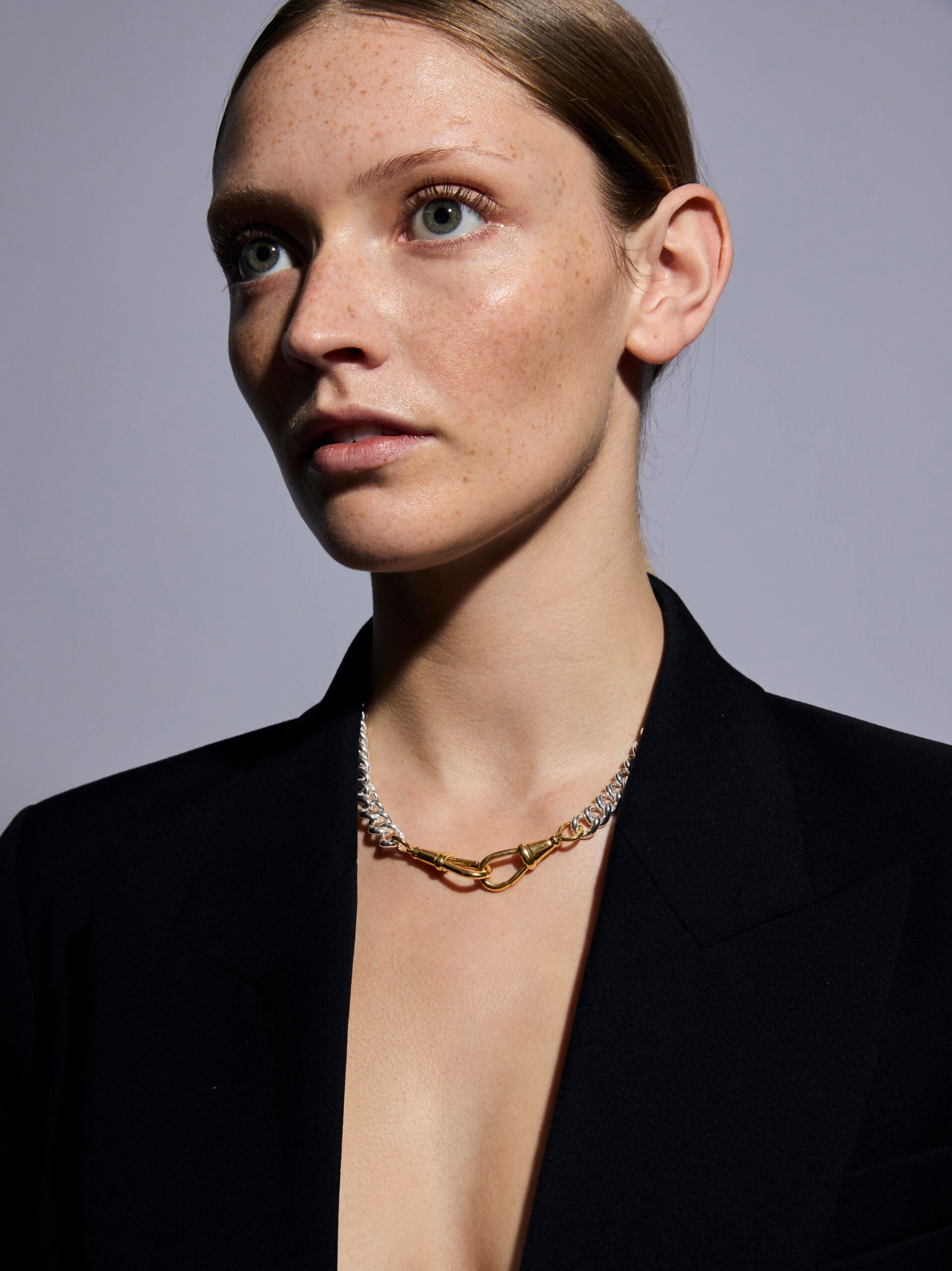 Large Silver and Gold Curb Clipt Necklace
