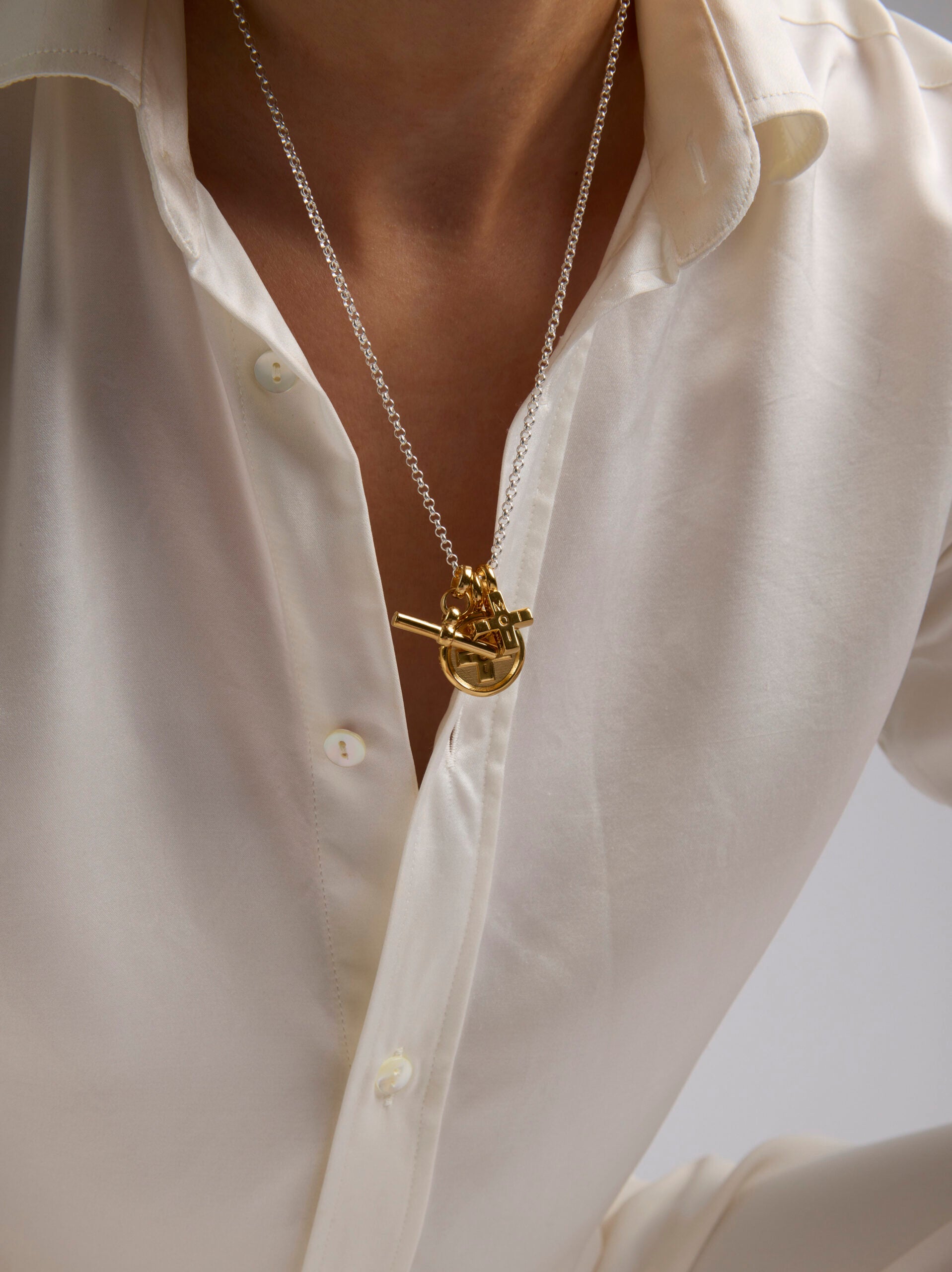 Mixed Metal Moi + Toi Cluster on Belcher Chain