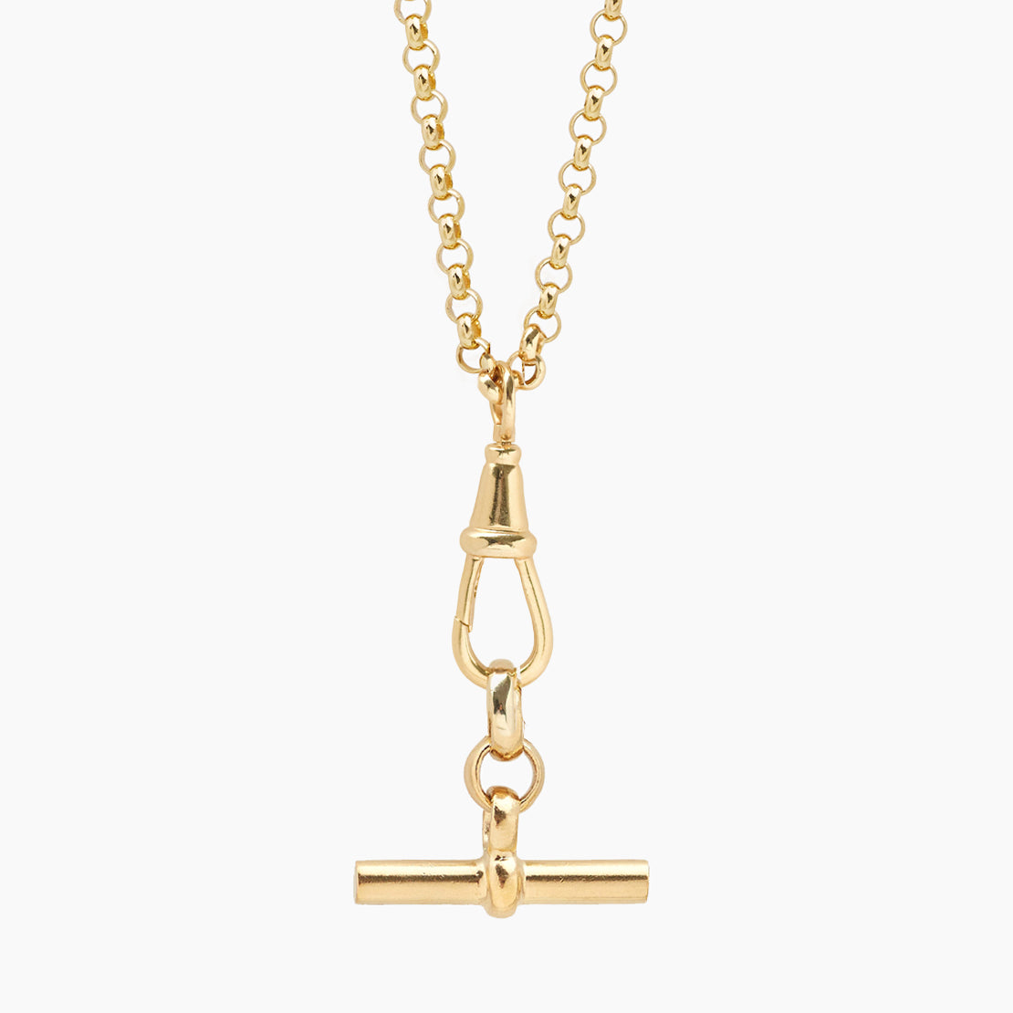 Gold T-bar on Chunky Belcher Clipt Necklace