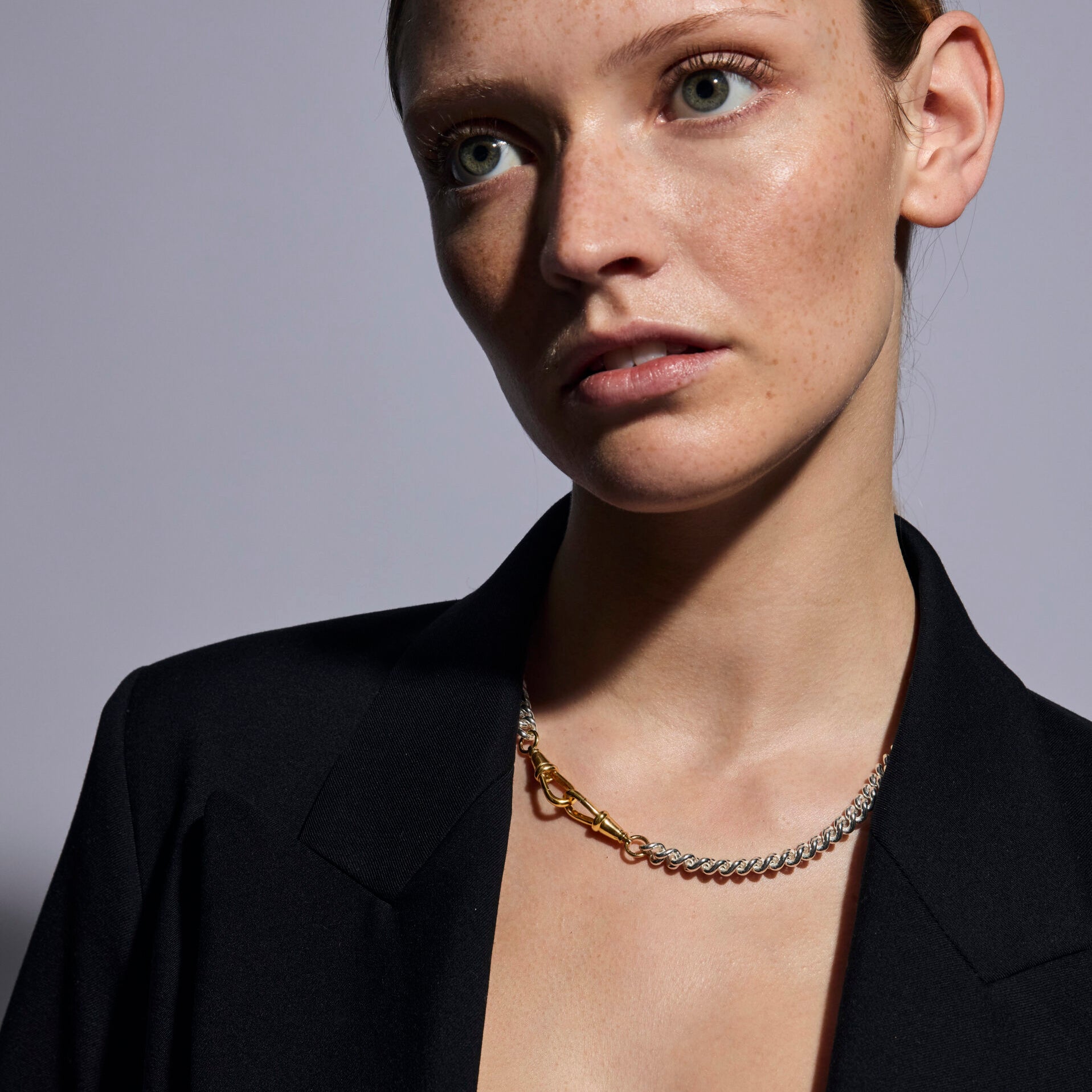 Medium Silver and Gold Curb Clipt Necklace