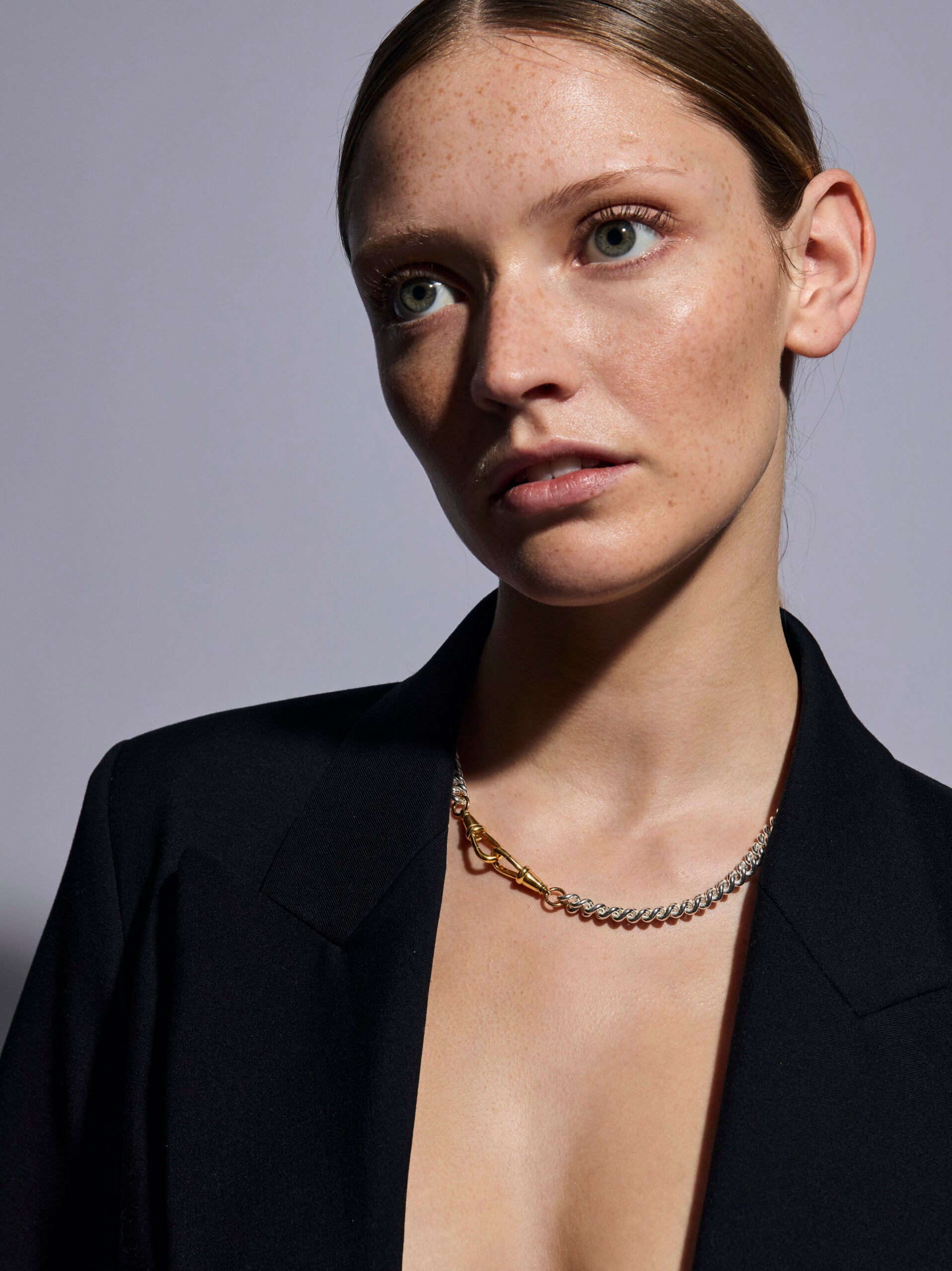 Medium Silver and Gold Curb Clipt Necklace