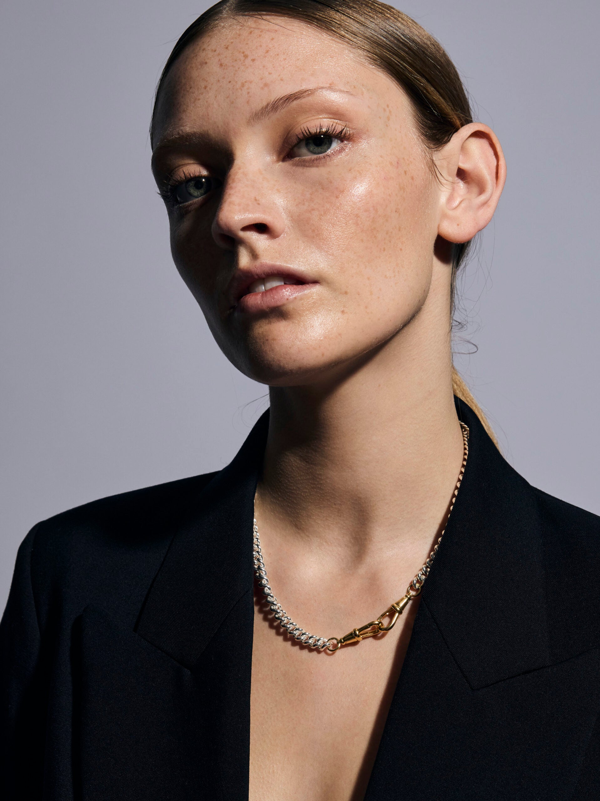 Medium Silver and Gold Curb Clipt Necklace