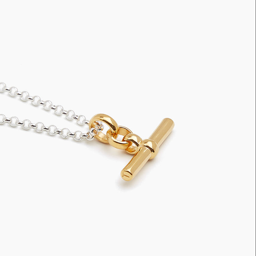 Necklace with a gold clasp on a white background
