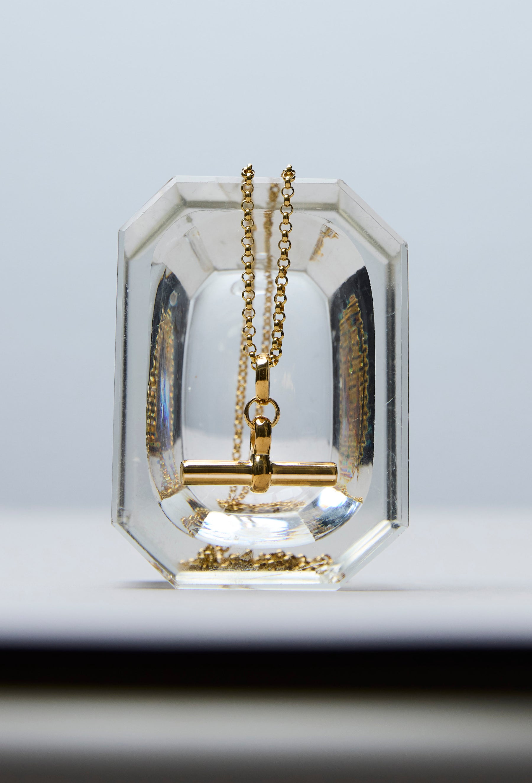 TSJ0761 Medium Gold T-Bar On Belcher Chain - Creative Product - Tilly Sveaas