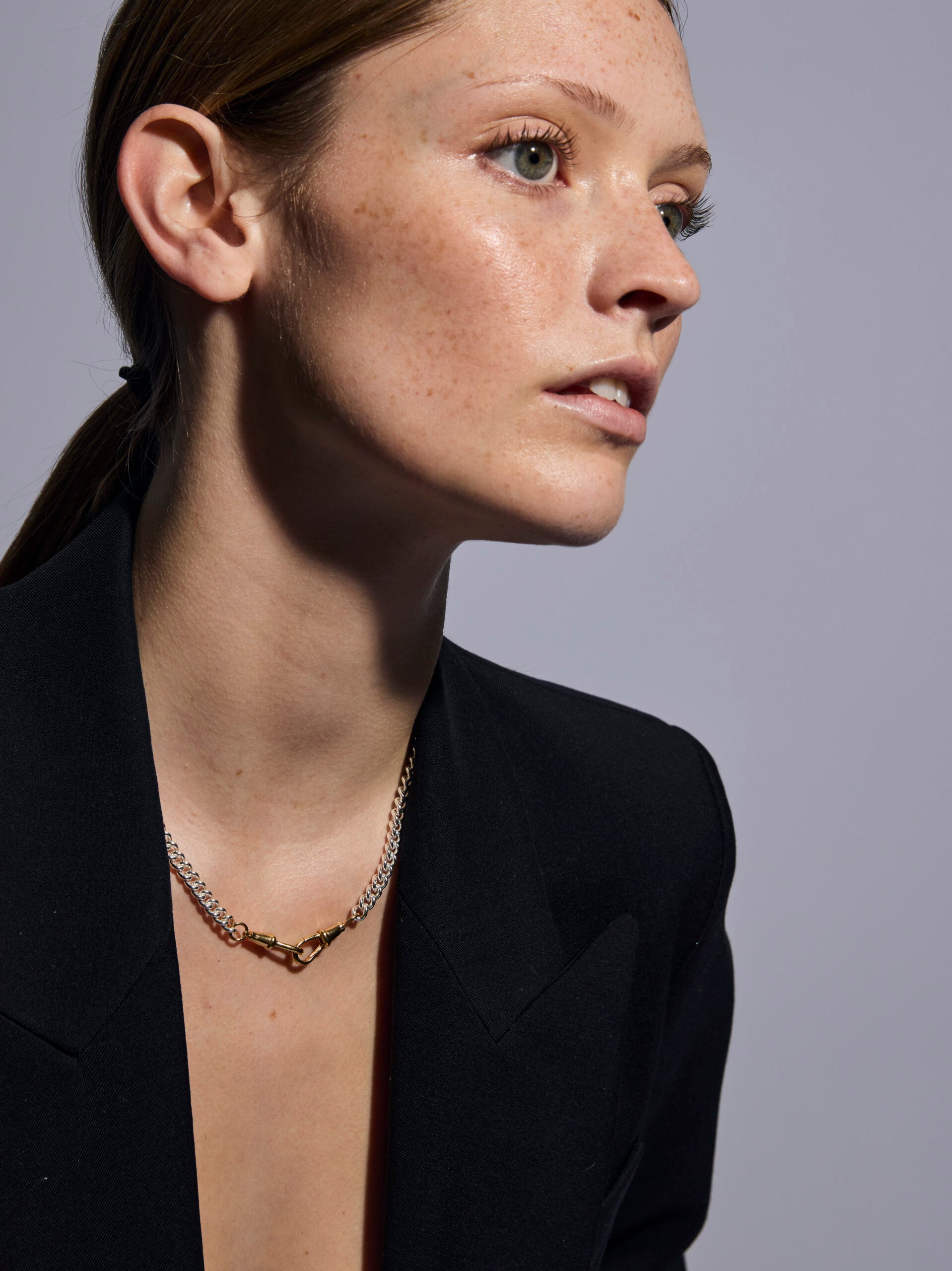 Slim Silver and Gold Curb Clipt Necklace