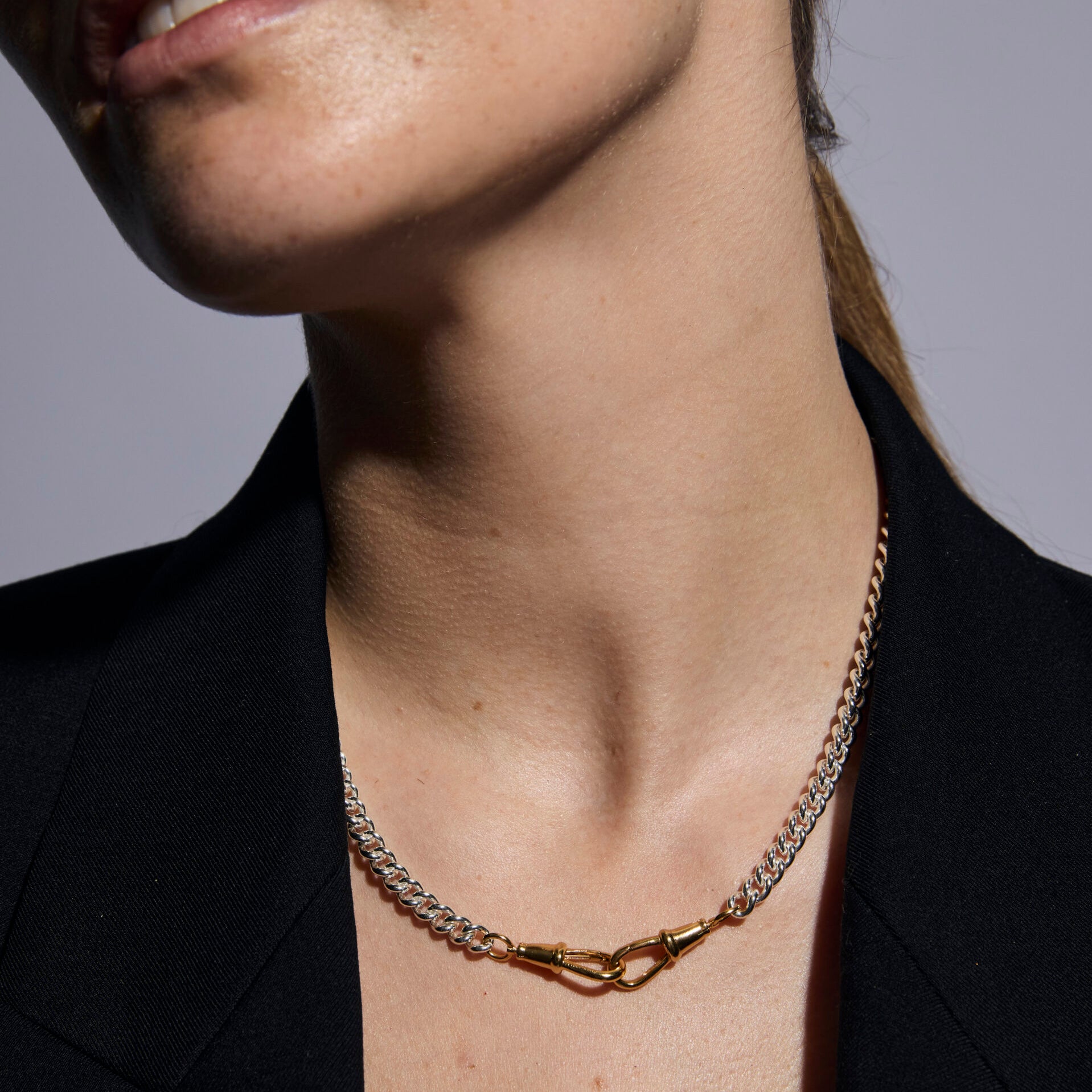 Slim Silver and Gold Curb Clipt Necklace